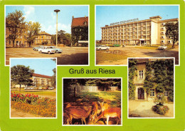 Riesa Leninplatz Tierpark Rathaus Haus D. Stahlwerke Gl19? #154.203 - Andere & Zonder Classificatie