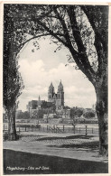 Magdeburg Elbe Mit Dom Gl1932 #154.331 - Sonstige & Ohne Zuordnung