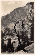 Berghütte: Benediktenwand Mit Tutzinger Hütte Gl1935 #155.153 - Sonstige & Ohne Zuordnung