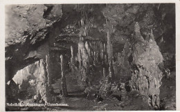 Nebelhöhle Bei Genkingen-Unterhausen Gl1954 #D9304 - Autres & Non Classés