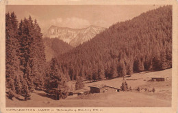 Schwarzetenn-Almen Mit Halserspitz Und Blauberg Bei Tegernsee Ngl #155.188 - Otros & Sin Clasificación