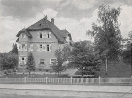 Freudenstadt/Schwarzwald Fremdenheim Ege Ngl #156.049 - Autres & Non Classés