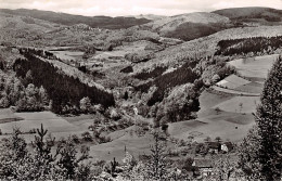 Blick Durch Das Weschnitztal Nach Lindenfels/Odw Gl1964 #156.070 - Andere & Zonder Classificatie