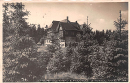 Hermsdorf Im Erzgebirge Hotel Wettin Glca.1940 #156.096 - Autres & Non Classés