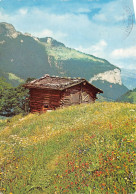 Berghütteim Schwarzwald Gl1963 #155.390 - Sonstige & Ohne Zuordnung