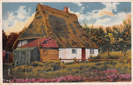 Bauernhaus Künstlerkarte Gl1920 #155.334 - Zonder Classificatie