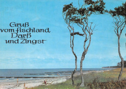 Born (Darß) Gruß Vom Fischland, Darß, Zingst Glca.1990 #169.844 - Autres & Non Classés