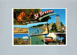 Saint-Brevin-les-Pins (44) : Multivues - Saint-Brevin-les-Pins