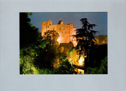 Delcampe - Clisson (44) : Le Chateau Illuminé - Clisson
