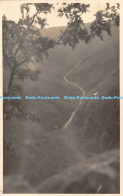 R168619 Unknown Place. Tree. Mountains. River. Old Photography. Postcard - Monde