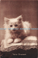 R168630 Parlor Ornament. The Cute Kitty. M. T. Sheahan - Monde