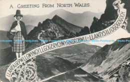 R168640 A Greeting From North Wales. Sychnant Pass. Valentine. RP. 1963 - Monde