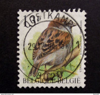 Belgie Belgique - 1994 - OPB/COB N° 2533 (1 Value ) -  Huismus - Passer Domesticus - Moineau - Buzin Obl. Oostkamp - Oblitérés