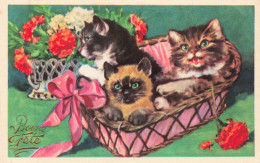 ANIMAUX - S29275 - 3 Chatons Allongés Dans Un Panier Avec Des Fleurs - Bonne Fête - Illustrateur Série 3325 - Katten