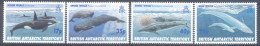B.A.T.   (VIS020) XC - Whales