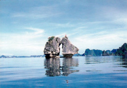 1 AK Vietnam * Ha Long Bucht Mit Der Insel „Kämpfende Hähne“ The Fighting-cocks Islet - Seit 1994 UNESCO Weltnaturerbe * - Viêt-Nam