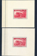 BELGIAN CONGO LEOPARD COB BL6  AND 100 MNH - Ongebruikt