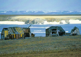 2 AK Wrangel Island / Russia * 2 Ansichten Dieser Insel * Russia Arctic Ocean - Seit 2004 UNESCO Weltnaturerbe * - Russie