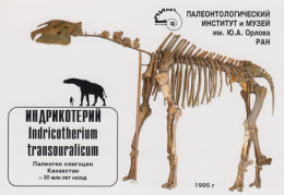 Russia 1995, Prehistoric Animals, Postcard Produce By Paleontological Museum In Moscow - Préhistoriques