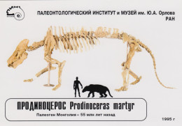 Russia 1995, Prehistoric Animals, Postcard Produce By Paleontological Museum In Moscow - Vor- U. Frühgeschichte