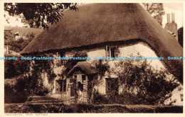 R169180 Cockington. Rose Cottage. Cockington Trust Limited - Welt