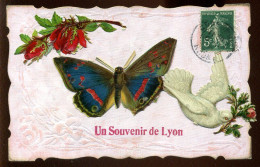 69 - LYON - CARTE FANTAISIE - DECOUPIS PAPILLON ET COLOMBE - Autres & Non Classés