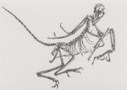 Germany, Prehistoric Animals, Dinosaur, Archaeopteryx, Postcard Produce By Dinosaur Park Altmuehltal - Préhistoriques