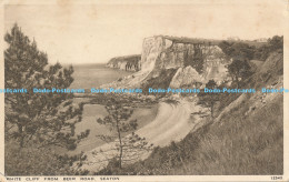 R168383 White Cliff From Beer Road. Seaton. Salmon. No 12543 - Monde