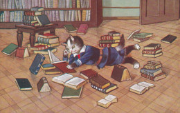 CHAT(ILLUSTRATEUR) BIBLIOTHEQUE - Chats