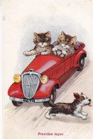 CHAT(ILLUSTRATEUR) CHIEN(AUTOMOBILE) - Chats