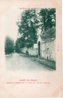 SENART ( 91 ) - Route De Champrosay - Porte De L'Ancien Ermitage - Sénart