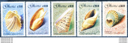 Conchiglie 1989. - Ghana (1957-...)