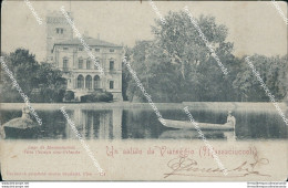 Cg45 Cartolina  Un Saluto Da Viareggio Massaciuccoli Provincia Di Lucca 1901 - Lucca