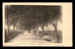 ALGERIE - CASTIGLIONE - AVENUE DE LA PLAGE - Other & Unclassified