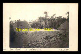 ALGERIE - BENI-OUNIF - LA PALMERAIE - 1ER AVRIL 1905 - CARTE PHOTO ORIGINALE - Sonstige & Ohne Zuordnung