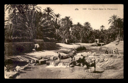 ALGERIE - SAHARA - UN OUED DANS LA PALMERAIE - Scenes