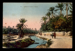 ALGERIE - SAHARA - CHEMIN DANS L'OASIS - Scenes