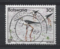 Botswana 1982 Birds  Y.T. 463 (0) - Botswana (1966-...)