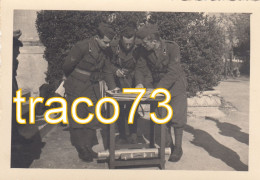 REGIO ESERCITO - MILITARI _ (  Artiglieri )  /  Militari Osservano Una Cartina - Anno 1941 _ Foto Formato  8,5 X 11 Cm - Guerra, Militares
