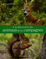 A La Découverte Des Animaux De Nos Campagnes (2005) De Cyril Laurentin - Tiere