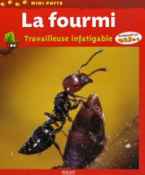 La Fourmi : Travailleuse Infatigable (2007) De Luc Gomel - Autres & Non Classés