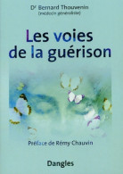 Les Voies De La Guérison (2003) De Bernard Thouvenin - Health