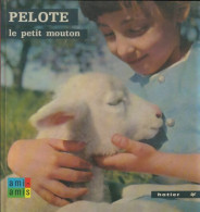 Pelote Le Petit Mouton (1967) De Anne-Marie Pajot - Sonstige & Ohne Zuordnung