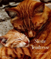 Sieste Et Tendresse (1997) De Hans Silvester - Animaux