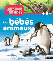 N09 - Bébés ANIMAUX (2011) De Virginie Aladjidi - Autres & Non Classés