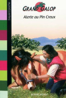 Alerte Au Pin Creux (2009) De Bonnie Bryant - Sonstige & Ohne Zuordnung