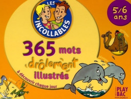 365 Mots Drolement Illustrés 5-6 Ans (2002) De Collectif - Other & Unclassified