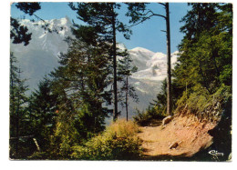 Chamonix-mont-blanc ,depuis Le "petit Balcon " - Chamonix-Mont-Blanc