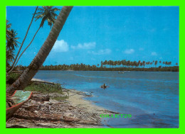 ALAGOAS, BRASIL - BARRA NOVA / MACEIO - - Andere & Zonder Classificatie