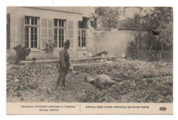 Carte Postale Ancienne - Non Circulé - Guerre 1914 / 18 - Chasseur D' Afrique, Agonie De Son Cheval - Personen